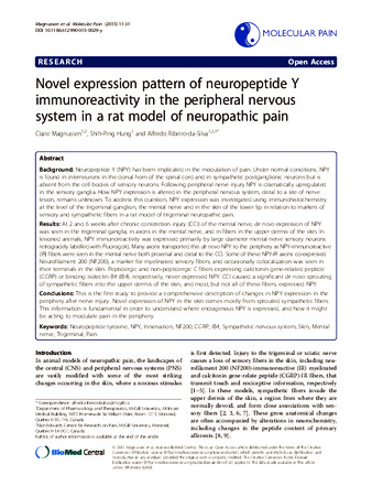 Novel expression pattern of neuropeptide Y immunoreactivity in the peripheral nervous system in a rat model of neuropathic pain thumbnail