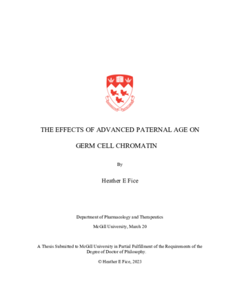 The effects of advanced paternal age on germ cell chromatin thumbnail