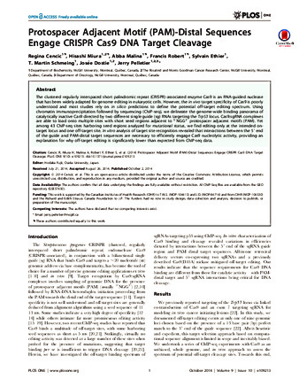 Protospacer Adjacent Motif (PAM)-Distal Sequences Engage CRISPR Cas9 DNA Target Cleavage thumbnail