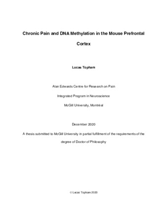 Chronic Pain and DNA Methylation in the Mouse Prefrontal Cortex thumbnail