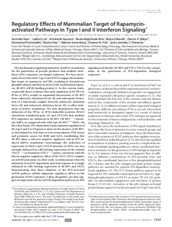 Regulatory Effects of Mammalian Target of Rapamycin-activated Pathways in Type I and II Interferon Signaling thumbnail