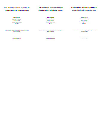 Click chemistry in action: expanding the chemical toolbox in biological systems thumbnail