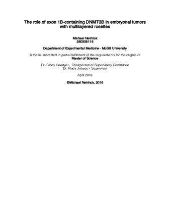 The role of exon 1B-containing DNMT3B in embryonal tumors with multilayered rosettes thumbnail