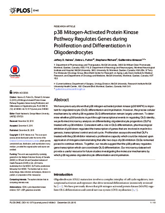 p38 Mitogen-Activated Protein Kinase Pathway Regulates Genes during Proliferation and Differentiation in Oligodendrocytes thumbnail