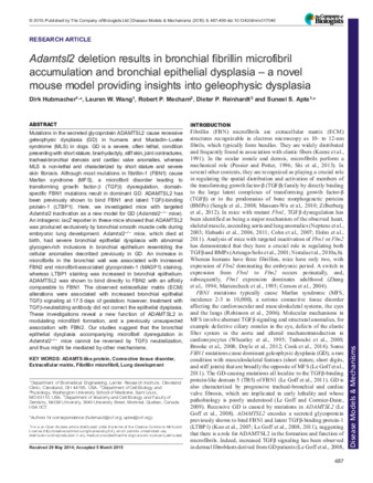 Adamtsl2 deletion results in bronchial fibrillin microfibril accumulation and bronchial epithelial dysplasia – a novel mouse model providing insights into geleophysic dysplasia thumbnail