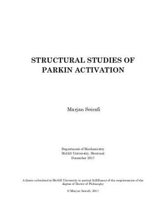 Structural studies of parkin activation thumbnail