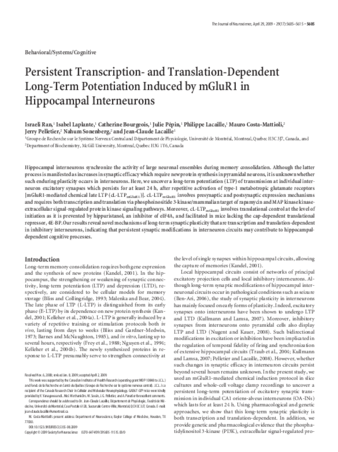 Persistent Transcription- and Translation-Dependent Long-Term Potentiation Induced by mGluR1 in Hippocampal Interneurons thumbnail