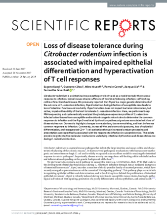 Loss of disease tolerance during Citrobacter rodentium infection is associated with impaired epithelial differentiation and hyperactivation of T cell responses thumbnail