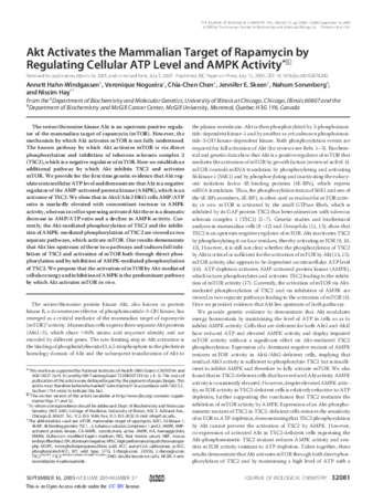 Akt Activates the Mammalian Target of Rapamycin by Regulating Cellular ATP Level and AMPK Activity thumbnail