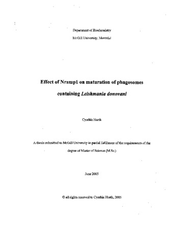 Effect of Nramp1 on maturation of phagosomes containing Leishmania donovani thumbnail