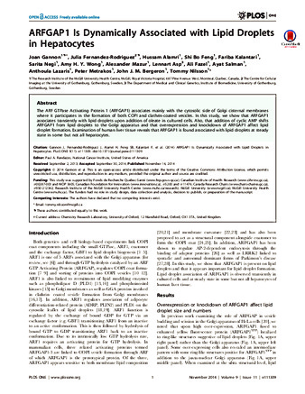ARFGAP1 Is Dynamically Associated with Lipid Droplets in Hepatocytes thumbnail