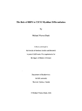 The role of RBP1 in C2C12 myoblast differentiation / thumbnail