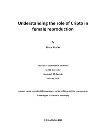 Understanding the role of Cripto in female reproduction thumbnail