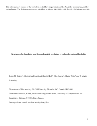 Structures of a dimodular nonribosomal peptide synthetase reveal conformational flexibility thumbnail