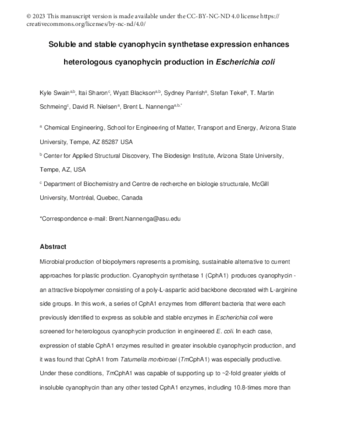 Soluble and stable cyanophycin synthetase expression enhances heterologous cyanophycin production in Escherichia coli thumbnail