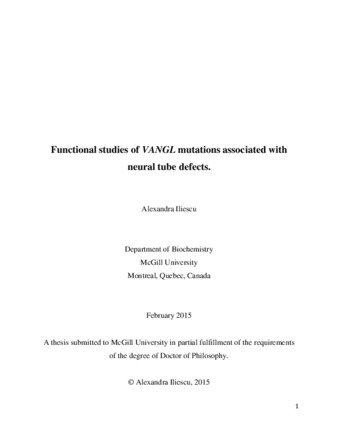 Functional studies of VANGL mutations associated with neural tube defects thumbnail
