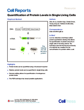 Quantification of Protein Levels in Single Living Cells thumbnail