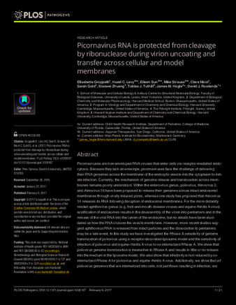 Picornavirus RNA is protected from cleavage by ribonuclease during virion uncoating and transfer across cellular and model membranes thumbnail