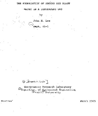 The propagation of shocks and blast waves in a detonating gas thumbnail