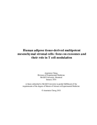 Human adipose tissue-derived multipotent mesenchymal stromal cells: focus on exosomes and their role in T cell modulation thumbnail