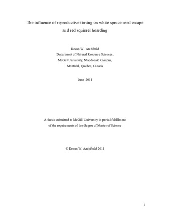 The influence of reproductive timing on white spruce seed escape and red squirrel hoardin thumbnail