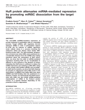 HuR protein attenuates miRNA-mediated repression by promoting miRISC dissociation from the target RNA thumbnail