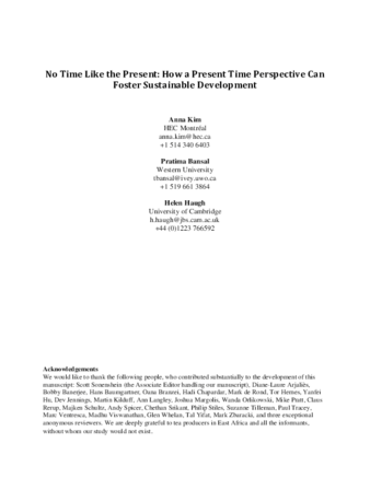 No Time Like the Present: How a Present Time Perspective Can Foster Sustainable Development thumbnail