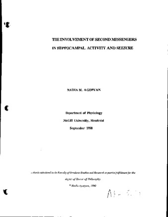 The involvement of second messengers in hippocampal activity and seizure / thumbnail