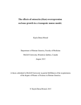 The effects of osteocrin (Ostn) overexpression on bone growth in a transgenic mouse model thumbnail