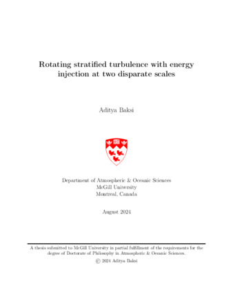 Rotating stratified turbulence with energy injection at two disparate scales. thumbnail