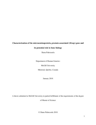 Characterization of the microseminoprotein, prostate-associated (Msmp) gene and its potential role in bone biology thumbnail