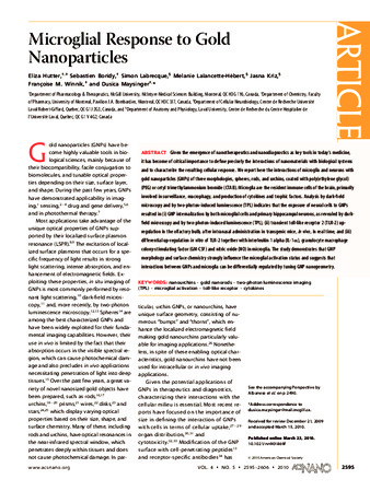 Microglial response to gold nanoparticles thumbnail