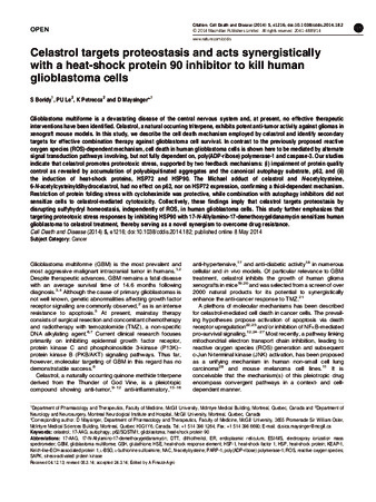 Celastrol targets proteostasis and acts synergistically with a heat-shock protein 90 inhibitor to kill human glioblastoma cells thumbnail