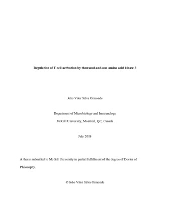 Regulation of T cell activation by thousand-and-one amino acid kinase 3 thumbnail