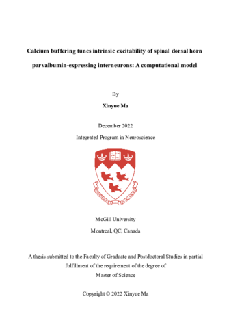 Calcium buffering tunes intrinsic excitability of spinal dorsal horn parvalbumin-expressing interneurons: A computational model thumbnail