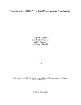 The essential role of RBP7910 with Z-DNA domains in U-indel editing thumbnail