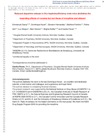 Reduced dopamine release in Dcc haploinsufficiency male mice abolishes the rewarding effects of cocaine but not those of morphine and ethanol thumbnail