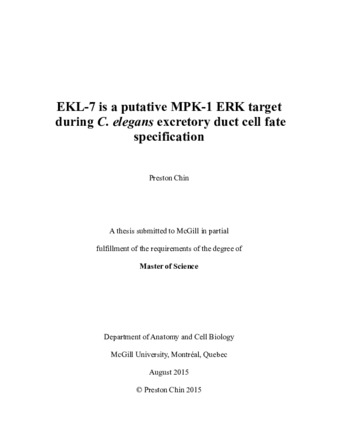 EKL-7 is a putative MPK-1 ERK target during C. «elegans» excretory duct cell fate specification thumbnail