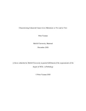 Characterizing colorectal cancer liver metastases «in Vivo» and «in Vitro» thumbnail