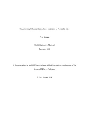 Characterizing colorectal cancer liver metastases «in Vivo» and «in Vitro» thumbnail