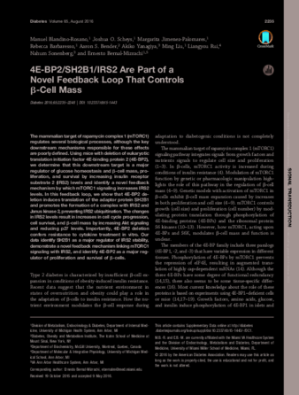 4E-BP2/SH2B1/IRS2 Are Part of a Novel Feedback Loop That Controls β-Cell Mass thumbnail