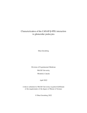Characterization of the CdGAP-β-PIX interaction in  glomerular podocytes thumbnail