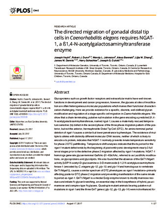 The directed migration of gonadal distal tip cells in Caenorhabditis elegans requires NGAT-1, a ß1,4-N-acetylgalactosaminyltransferase enzyme thumbnail