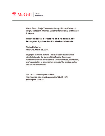 Mitochondrial Structure and Function Are Disrupted by Standard Isolation Methods thumbnail