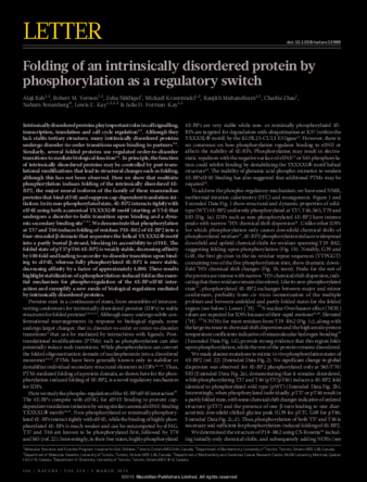 Folding of an intrinsically disordered protein by phosphorylation as a regulatory switch thumbnail