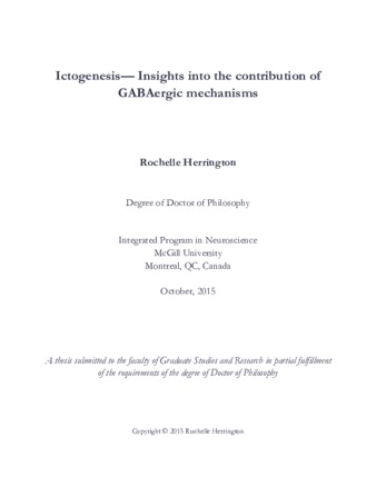 Ictogenesis— Insights into the contribution of GABAergic mechanisms thumbnail