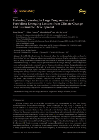 Fostering Learning in Large Programmes and Portfolios: Emerging Lessons from Climate Change and Sustainable Development thumbnail