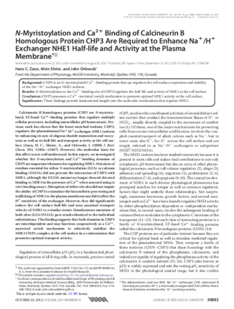 N-myristoylation and Ca2+ binding of calcineurin B homologous protein CHP3 are required to enhance Na+/H+ exchanger NHE1 half-life and activity at the plasma membrane thumbnail