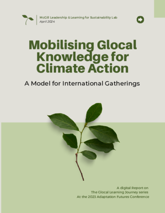 Mobilising Glocal Knowledge for Climate Action: A Model for International Gatherings thumbnail