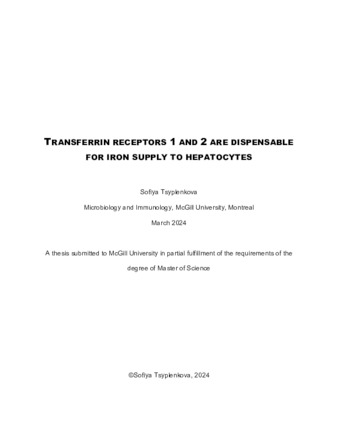 Transferrin receptors 1 and 2 are dispensable for iron supply to hepatocytes thumbnail